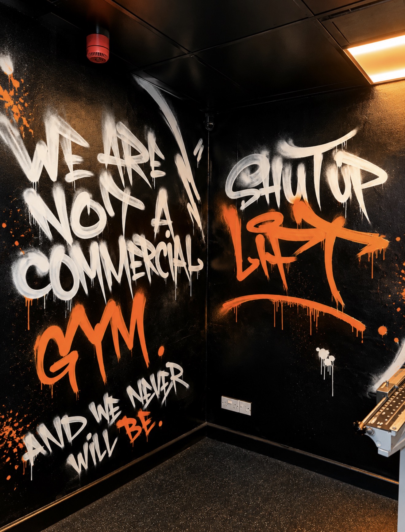 We are not a commercial gym mural alongside Shut Up and Lift at Steel